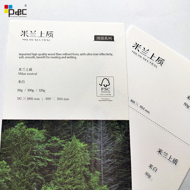 P&C - Copy Paper Offset Printing Paper 70gsm/80gsm/100gsm/120gsm Ivory Offset Paper In Rolls paper / card
