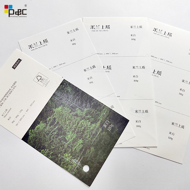 P&C - Copy Paper Offset Printing Paper 70gsm/80gsm/100gsm/120gsm Ivory Offset Paper In Rolls paper / card