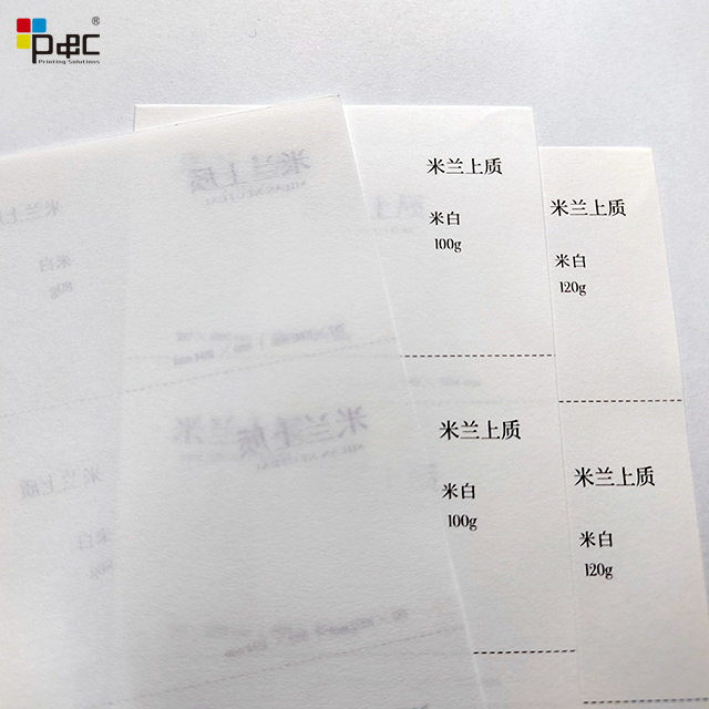 P&C - Copy Paper Offset Printing Paper 70gsm/80gsm/100gsm/120gsm Ivory Offset Paper In Rolls paper / card