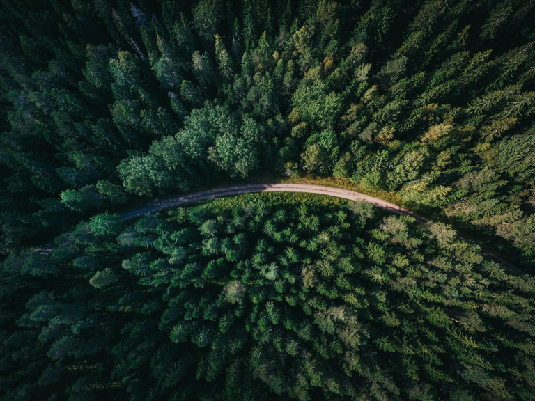 Paper is Better Than Plastic: 3 Reasons Why